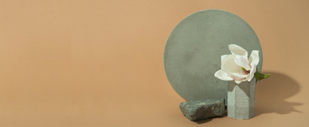 minimalist banner with concrete shapes and blooming flower on pastel background