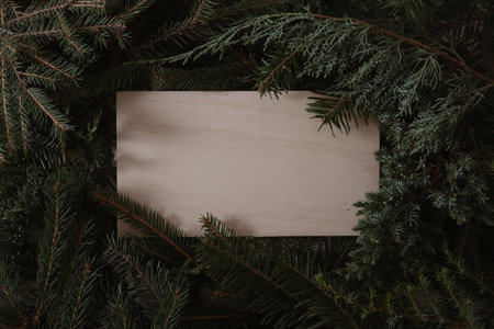cristmas fir tree with copy space