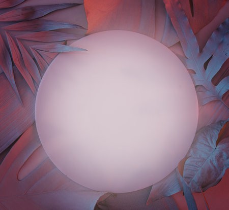 floral tropical background made with leaves and blue and red ligの写真素材