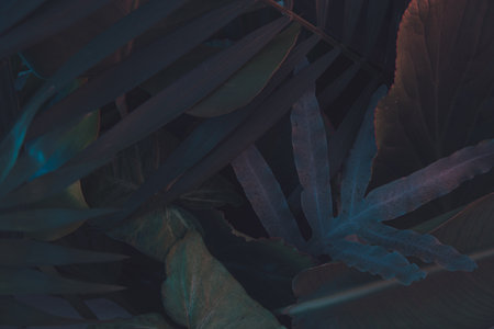 tropican green background. urban jungle