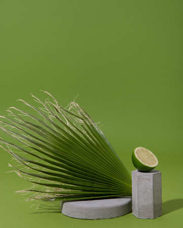 mockup with palm leaf, lime half and concrete shapes