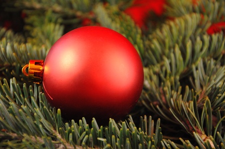 Christmas Globeの写真素材