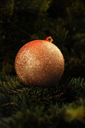 Christmasの写真素材