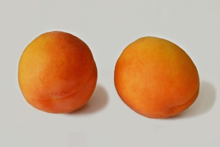 two ripe apricotsの写真素材