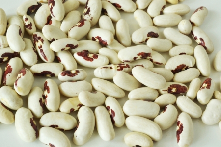 background beans