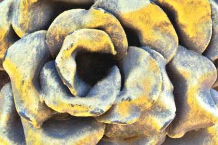 metal decorationの写真素材