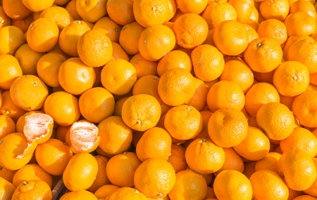 background is tangerineの写真素材
