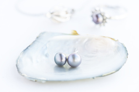 pearl in the shellの写真素材