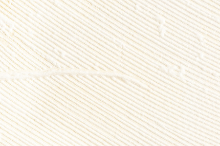beige wallpaper with striped pattern