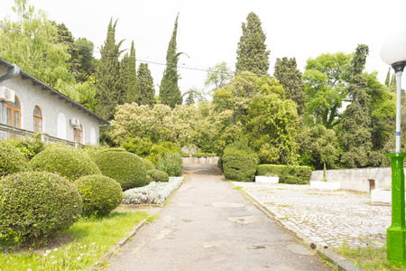 old building in the parkの写真素材