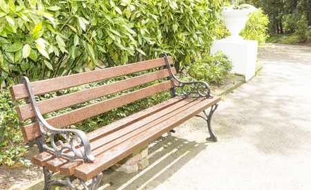 old bench in a city park after the rain