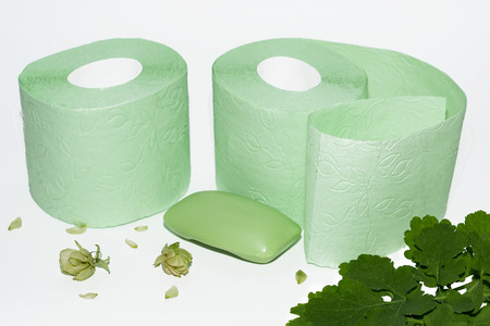soft green toilet paper and soapの写真素材