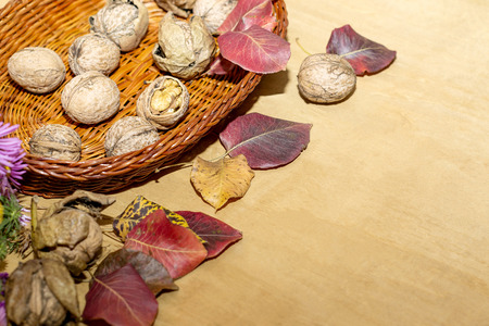 basket with walnuts and autumn leaves on a wooden surfaceの写真素材