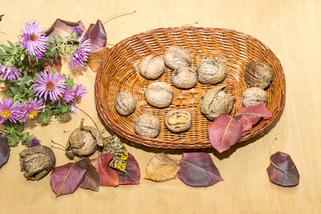 dry autumn leaves and a basket of walnuts on a wooden surfaceの写真素材