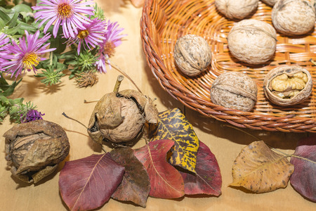 dry autumn leaves and basket with walnuts on a wooden surface close-upの写真素材