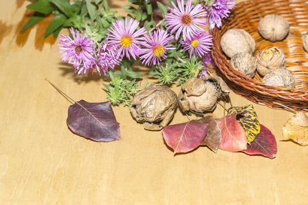 nuts, leaves and autumn flowersの写真素材