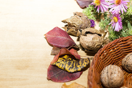 walnuts in the peel, leaves and autumn flowersの写真素材