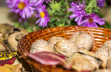 walnuts with leaves and autumn flowersの写真素材