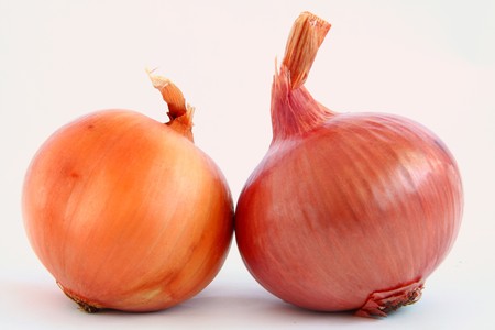 red and white onion isolated  on whiteの写真素材