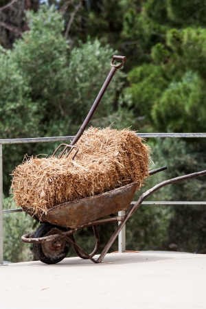 Fork,  hay and wheelbarrow in the barnの写真素材