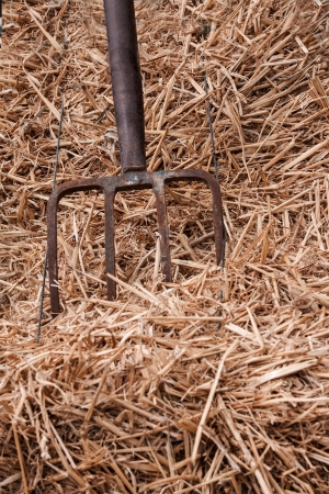Fork and hay in the barnの写真素材