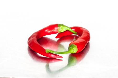 Red chilli pepper on whiteの写真素材