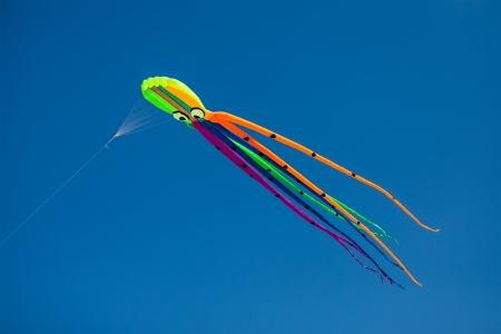 Nice kite flying colors against the blue skyの写真素材
