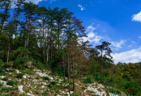  sunny day is in mountain landscapeの写真素材