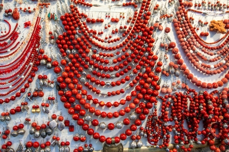 natural tropical coral on the marketの写真素材