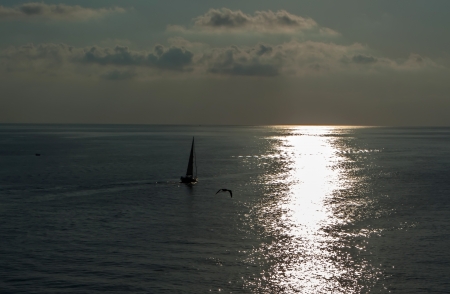 Sailboat and a birdの写真素材