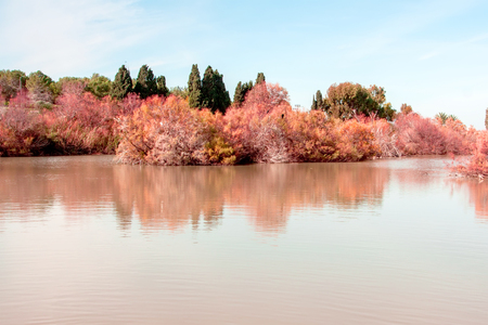 lake landscapeの写真素材
