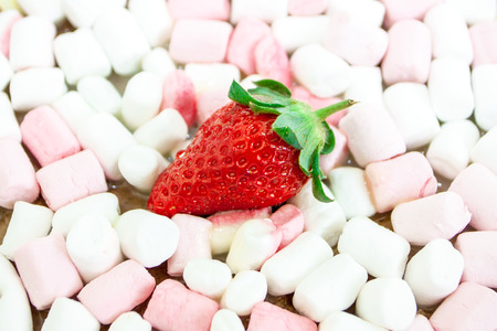 Strawberry on marshmallow backgroundの写真素材