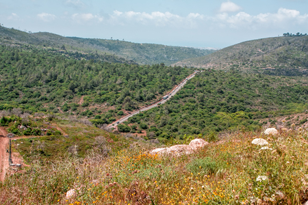 Wild Israel landscapeの写真素材