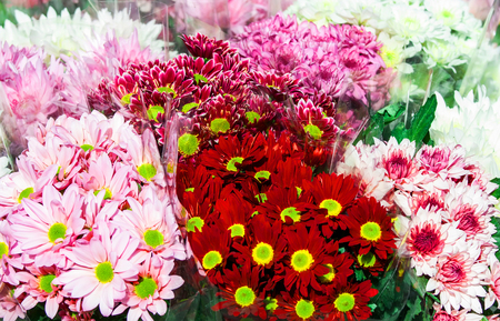 colorful variety of flowers sold in the marketの写真素材