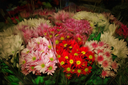 colorful variety of flowers sold in the market  drawing filterの写真素材