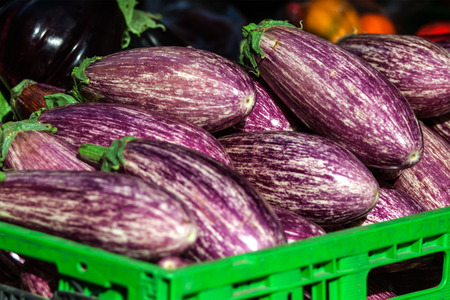 Pile of purple Fairy Tale eggplantの写真素材