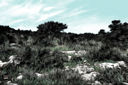 wild landscape of Galilee, Israel  drawing filterの写真素材