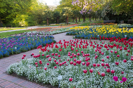 Park FLORA in Cologne Germanyの写真素材