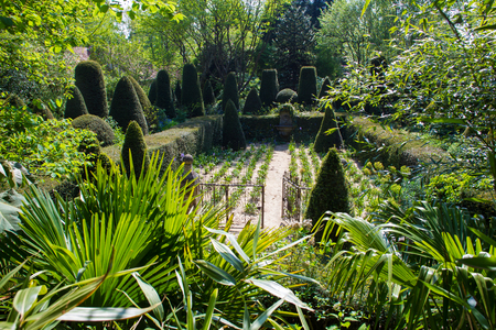 Topiary trees in Park of designer Alexander Thomas Normandyの写真素材