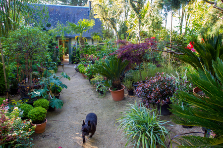 garden of Alexander Thomas in Normandy  Springtimeの写真素材