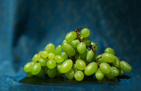 Fresh Kishmish grape- oval seedless grape.の写真素材