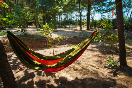 hammock among trees near Indian Ocean and beach> February - wonderful time.の写真素材