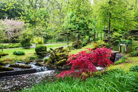 Japanese park  in  Maulivrier.  Pays de la Loire, France.  Springtimeの写真素材