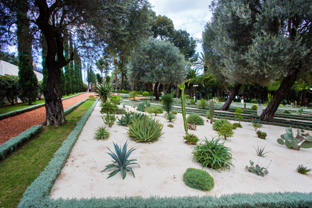 Garden of Bahai Religion in Haifa, Israel. Beautiful garden (Park) on the hillの写真素材