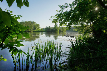 Arkhangelskoye - park and palace near Moscow. Wonderful nature - springtime, May in Russia.の写真素材