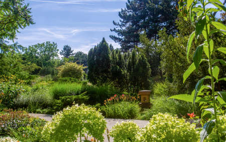 japanese garden on Margaret island in Budapest . Amazing summer in Hungarian capitalの写真素材