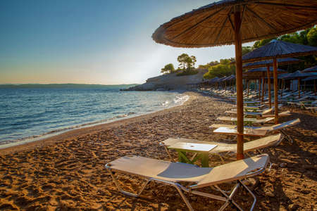 Idyllic healthy relaxation under pine trees on greek islands (Spetses island). Sun loungers and reed umbrellas at fantastic morning in summertime and early autumnの写真素材