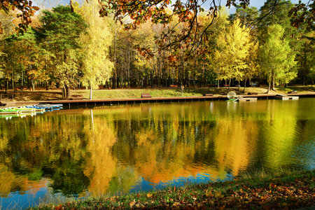Magnificent autumn trees in a park near Moscow - the beauty of nature, reflections in the water. On the left side - at the pier there are pleasure boats for skiing. Brown oak leaves at the top. and KOI carps swims in waterの写真素材