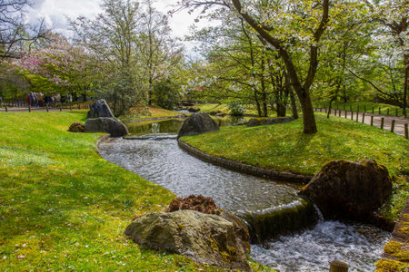 Artificial stream in Japanese garden in Hasselt cherry blossomsの写真素材
