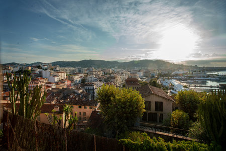 Sunny awe morning in Cannes - view from hill (WHITE Palace of Festicals and Congresses in right). Rede tiles of houses.Cactuses on hill and flowering. Part of IGY Vieux-Port de Cannesの写真素材